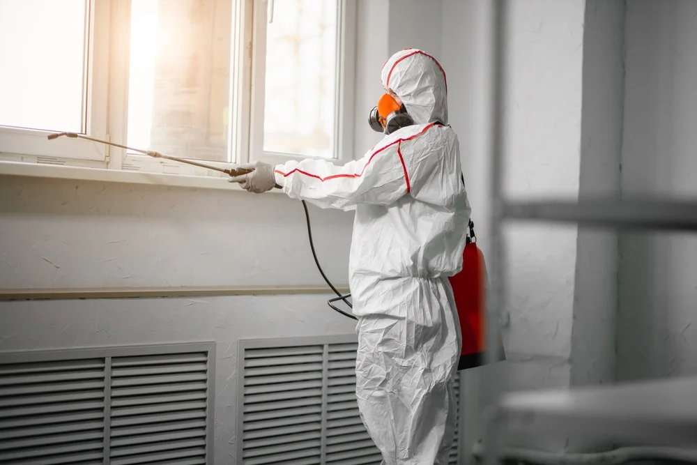Professional mold remediation services in Otisville, NY